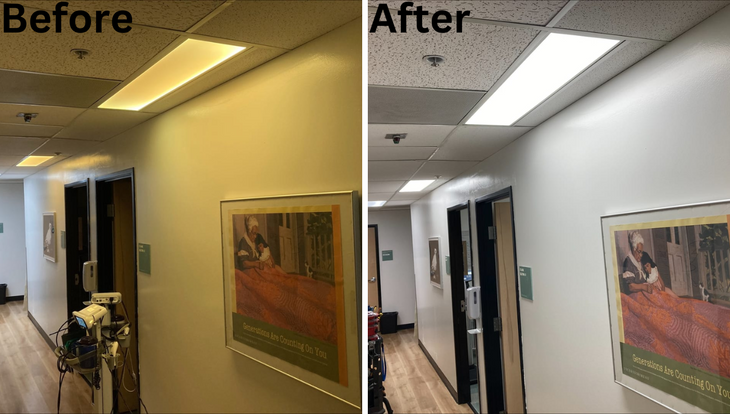 Case Study: Efficiency and Performance Improved with LED Backlit 1x4 Light Panels