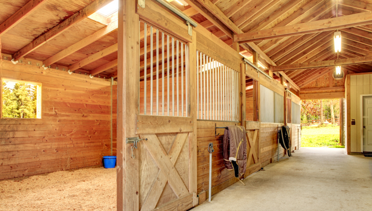 What is the Best Lighting for a Horse Barn?