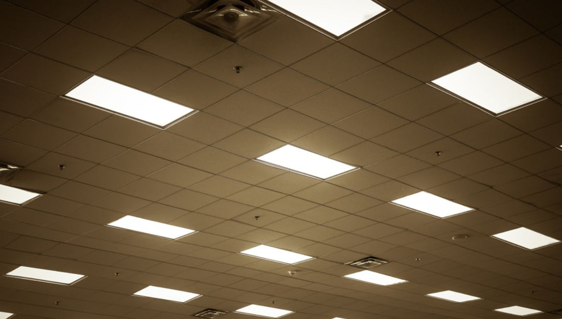 Maximize Efficiency and Longevity with High Bay LED Lights