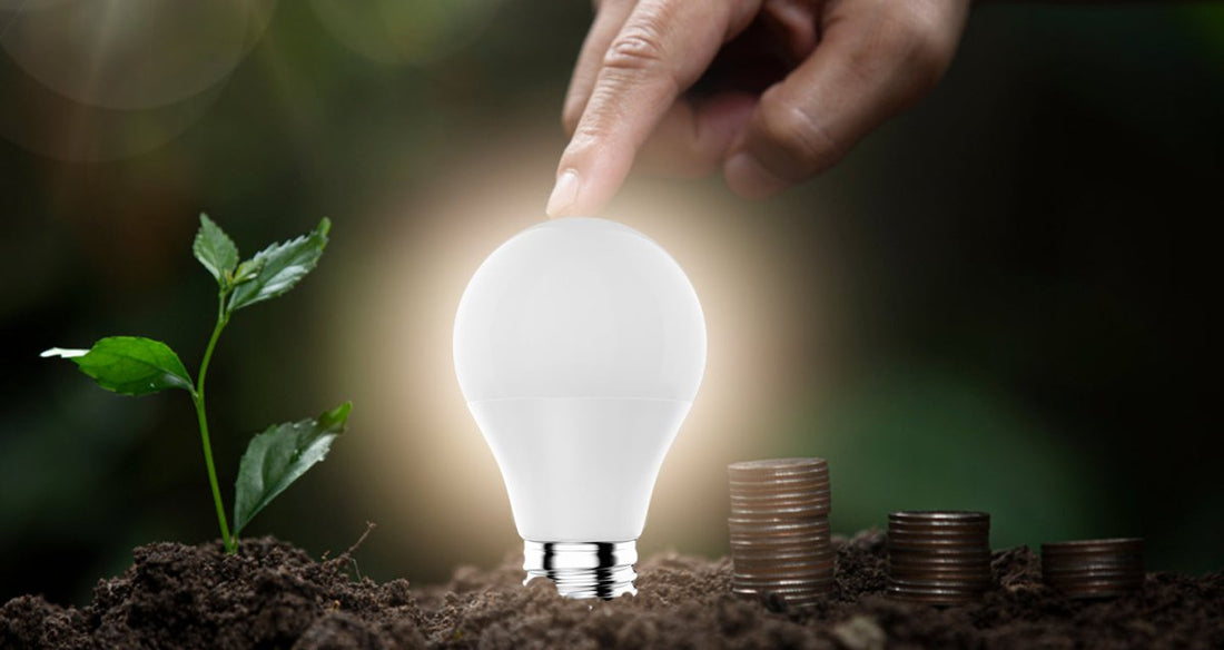 Buy LED lights To Save Energy And The Environment - LEDMyPlace