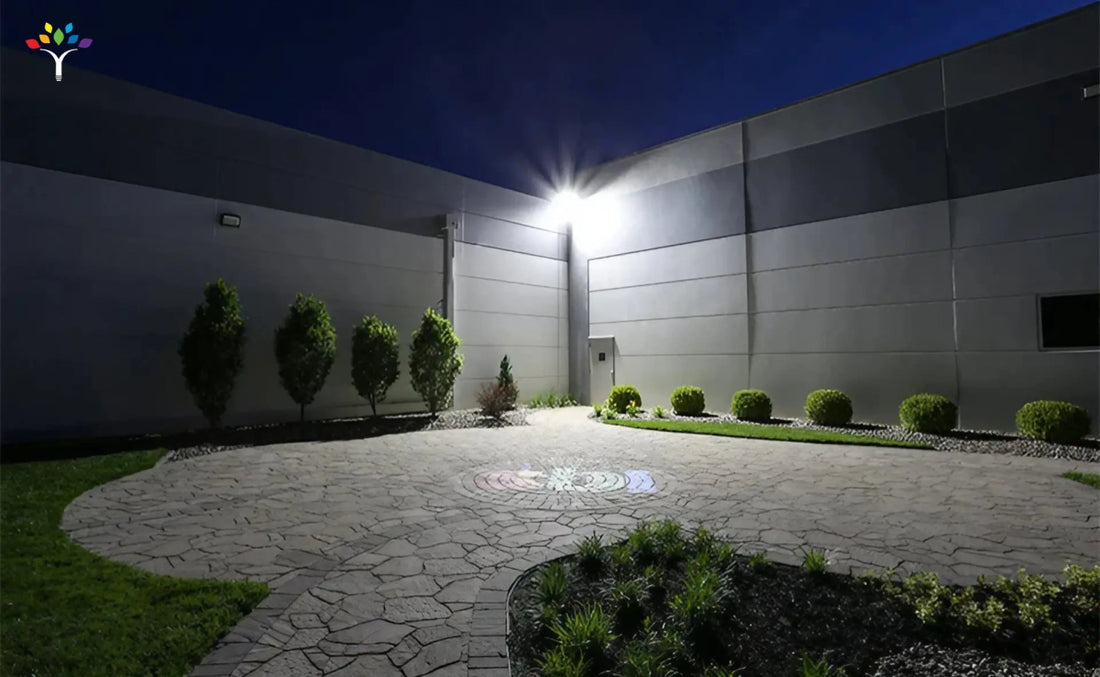 Comprehensive Guide For Best Backyard Flood Lights of Your Outdoor Space - LEDMyPlace