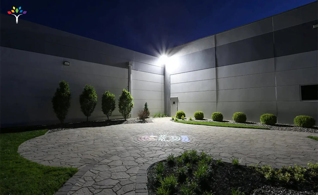 Comprehensive Guide For Best Backyard Flood Lights of Your Outdoor Space