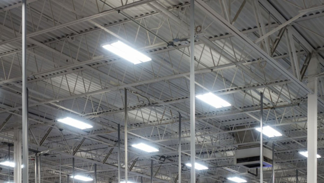 High Bay LED Lights Buyers Guide - LEDMyPlace