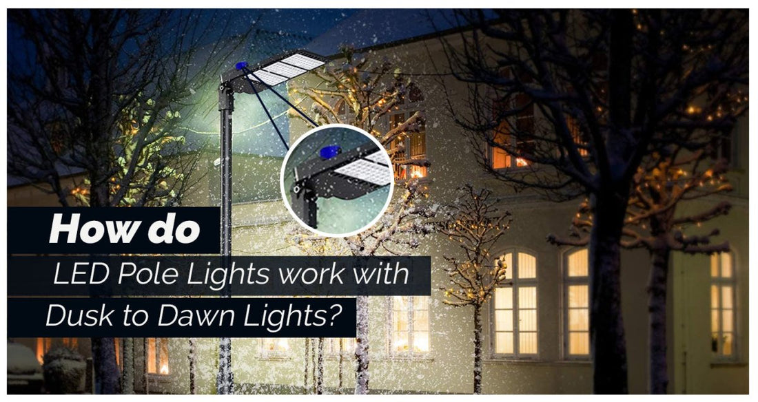 How Do LED Pole Lights Work With Dusk-To-Dawn Lights? - LEDMyPlace