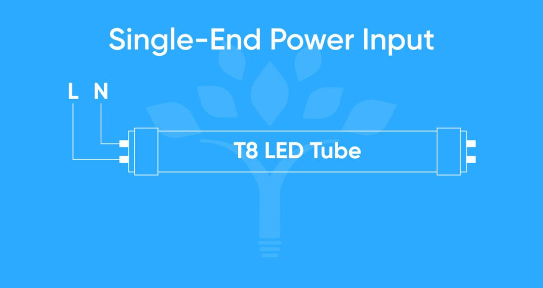 How to Direct-Wire a Single-Ended T8 LED Bulbs? - LEDMyPlace