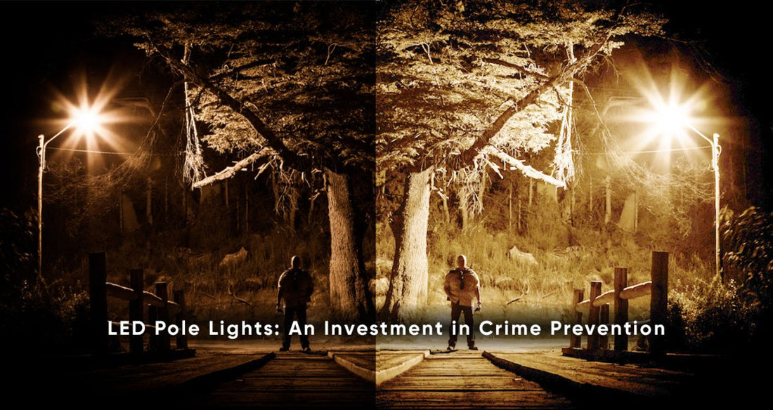 LED Pole Lights: An Investment in Crime Prevention - LEDMyPlace