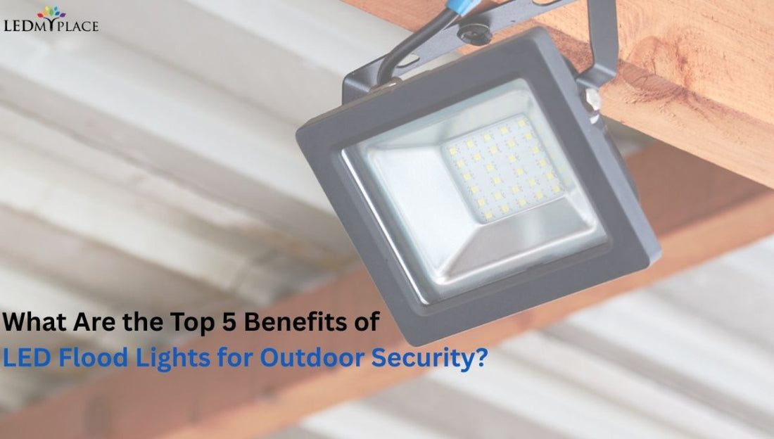 What Are the Top 5 Benefits of LED Flood Lights for Outdoor Security? - LEDMyPlace