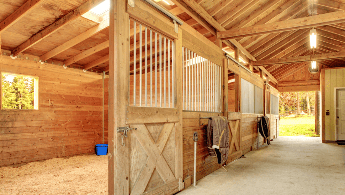 What is the Best Lighting for a Horse Barn? - LEDMyPlace