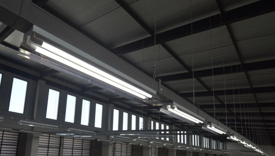 What is the Maximum Length of LED Tube Light? - LEDMyPlace