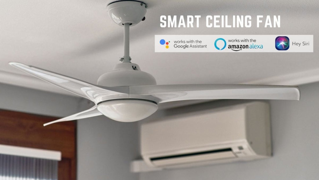 WHY YOU SHOULD CONSIDER GETTING A SMART CEILING FAN FOR YOUR HOME? - LEDMyPlace