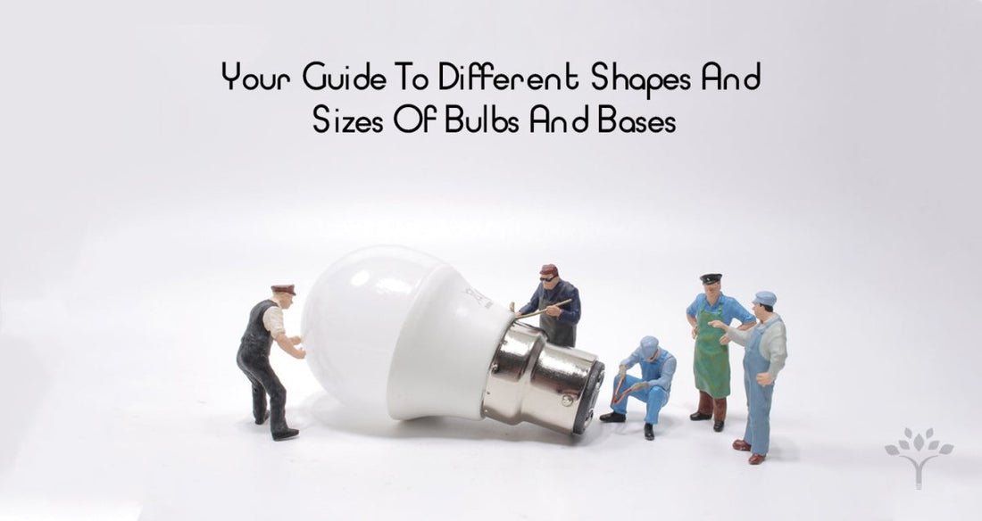 Your Guide To The Shapes And Sizes Of Bulbs And Bases! - LEDMyPlace