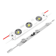 LED Modules