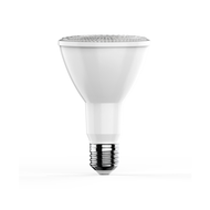 PAR LED Bulbs